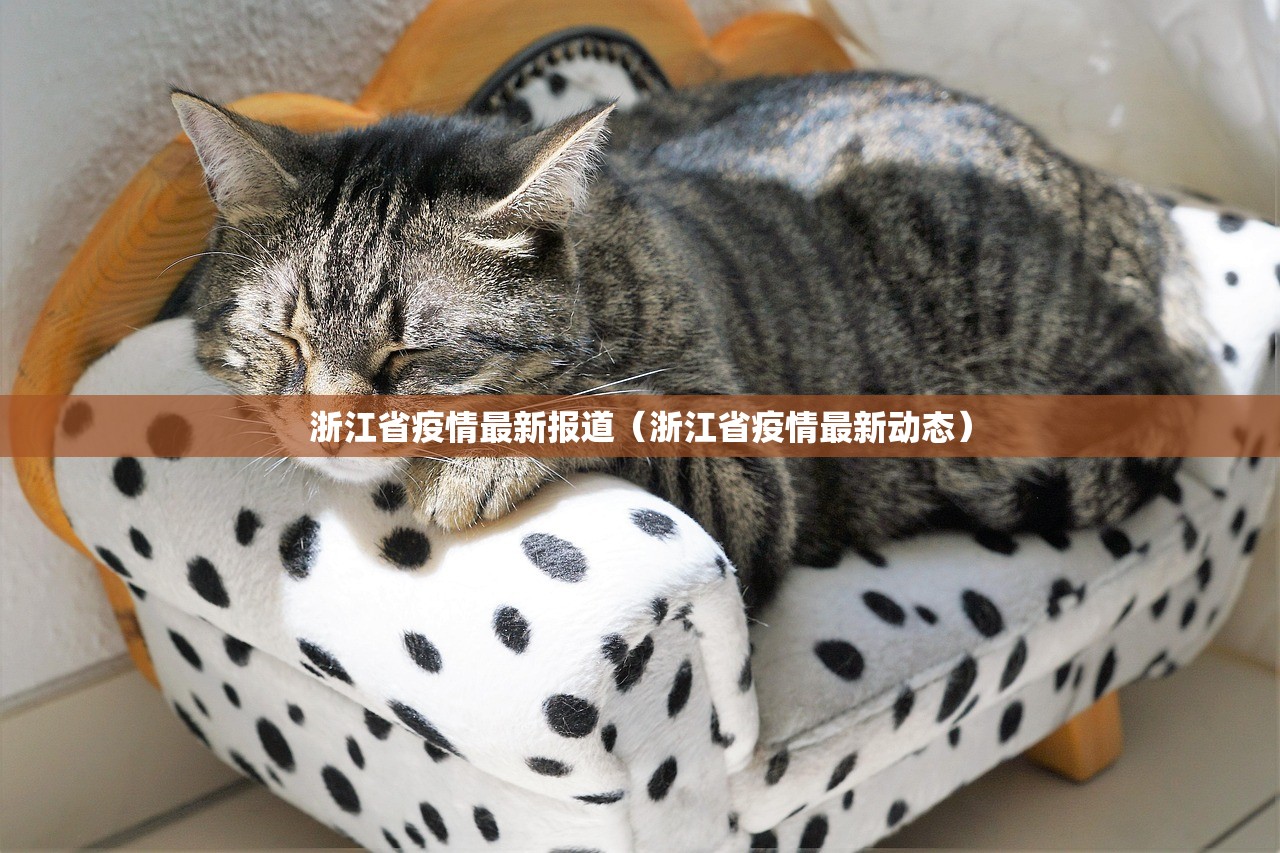 浙江省疫情最新报道（浙江省疫情最新动态）