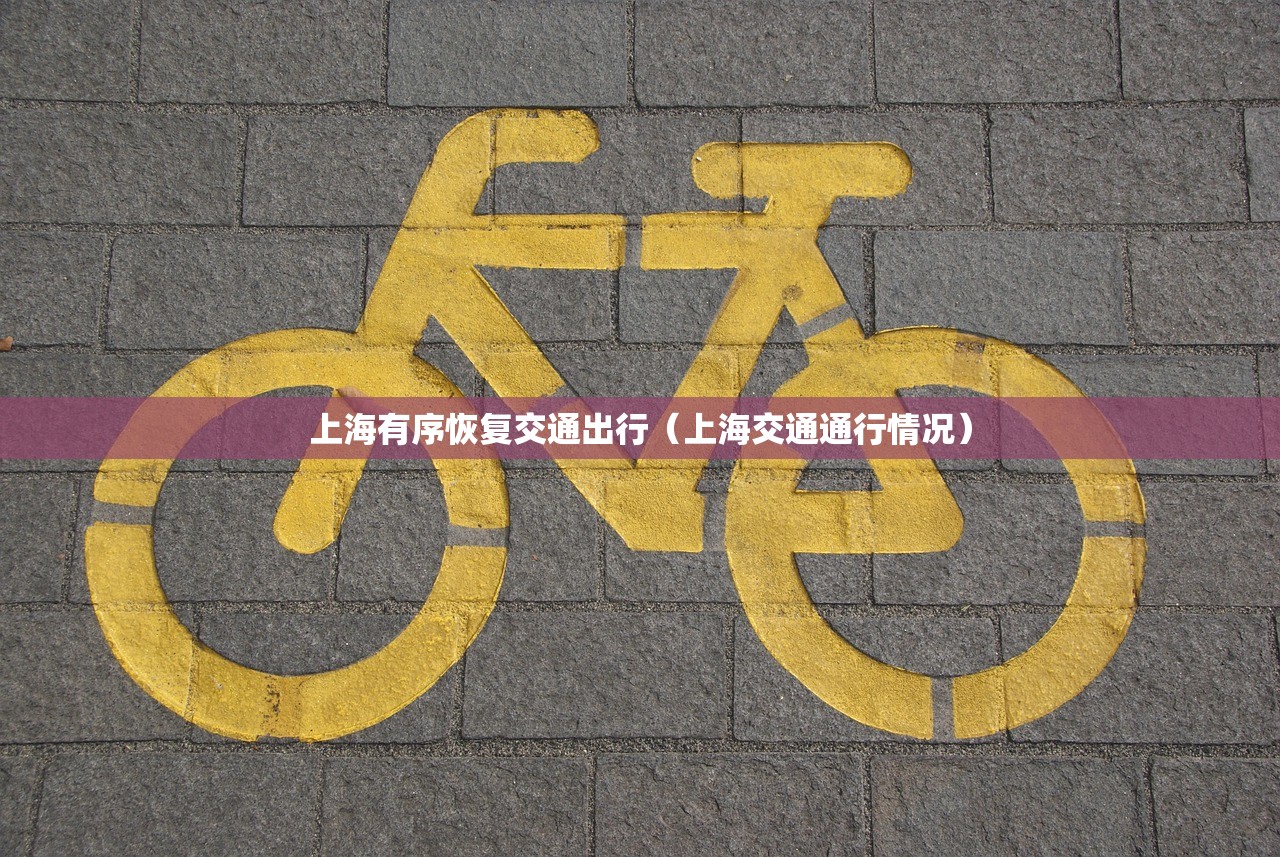 上海有序恢复交通出行（上海交通通行情况）
