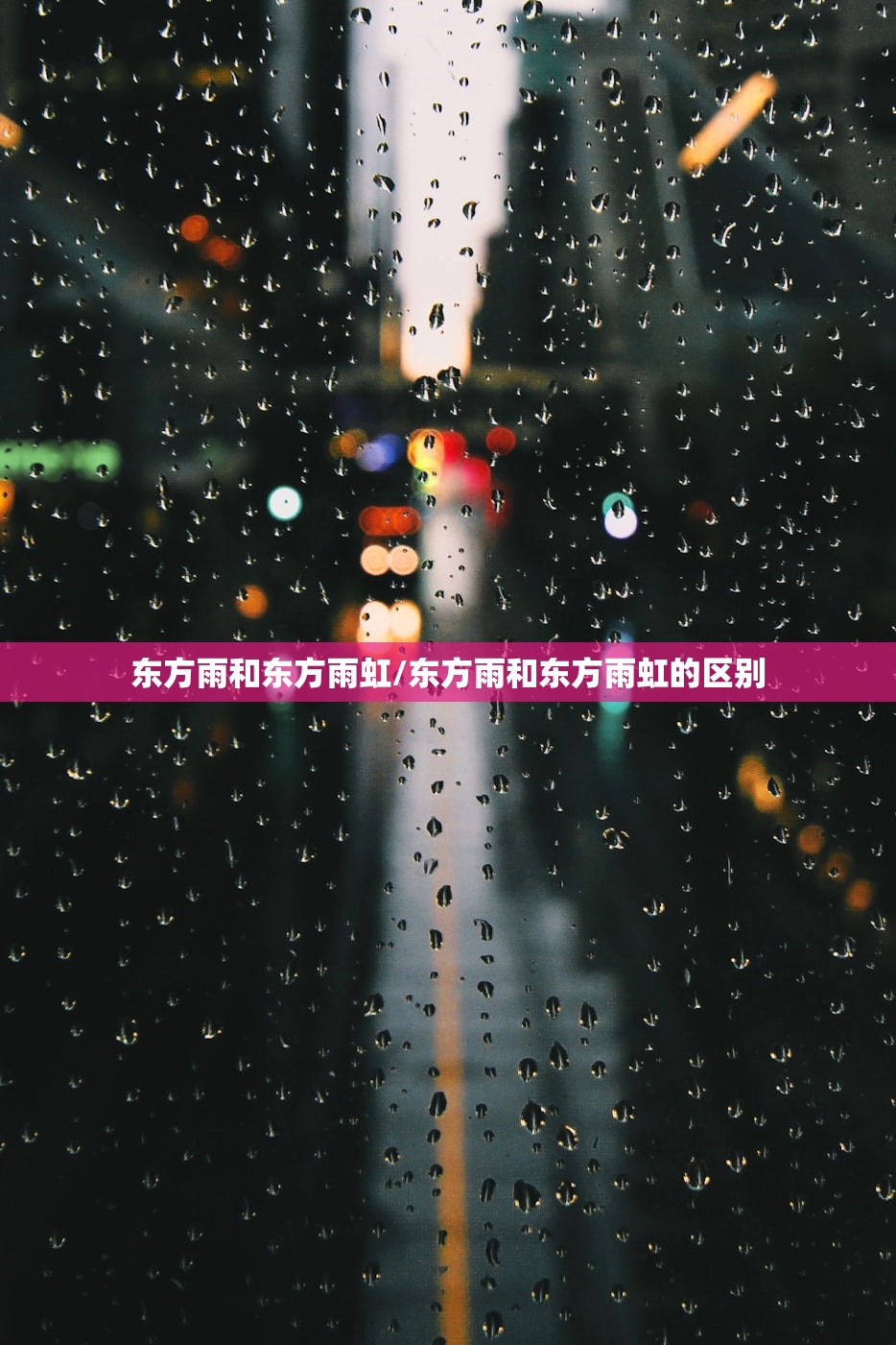 东方雨和东方雨虹/东方雨和东方雨虹的区别