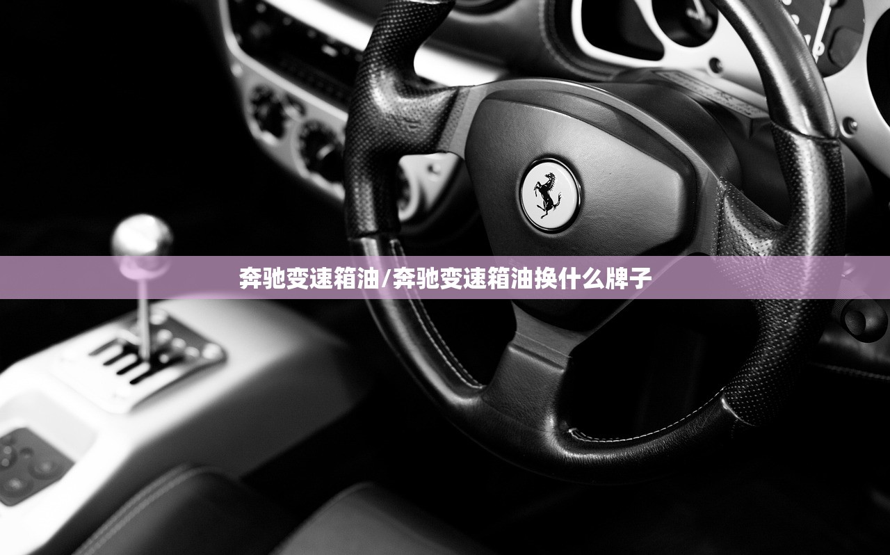 奔驰变速箱油/奔驰变速箱油换什么牌子
