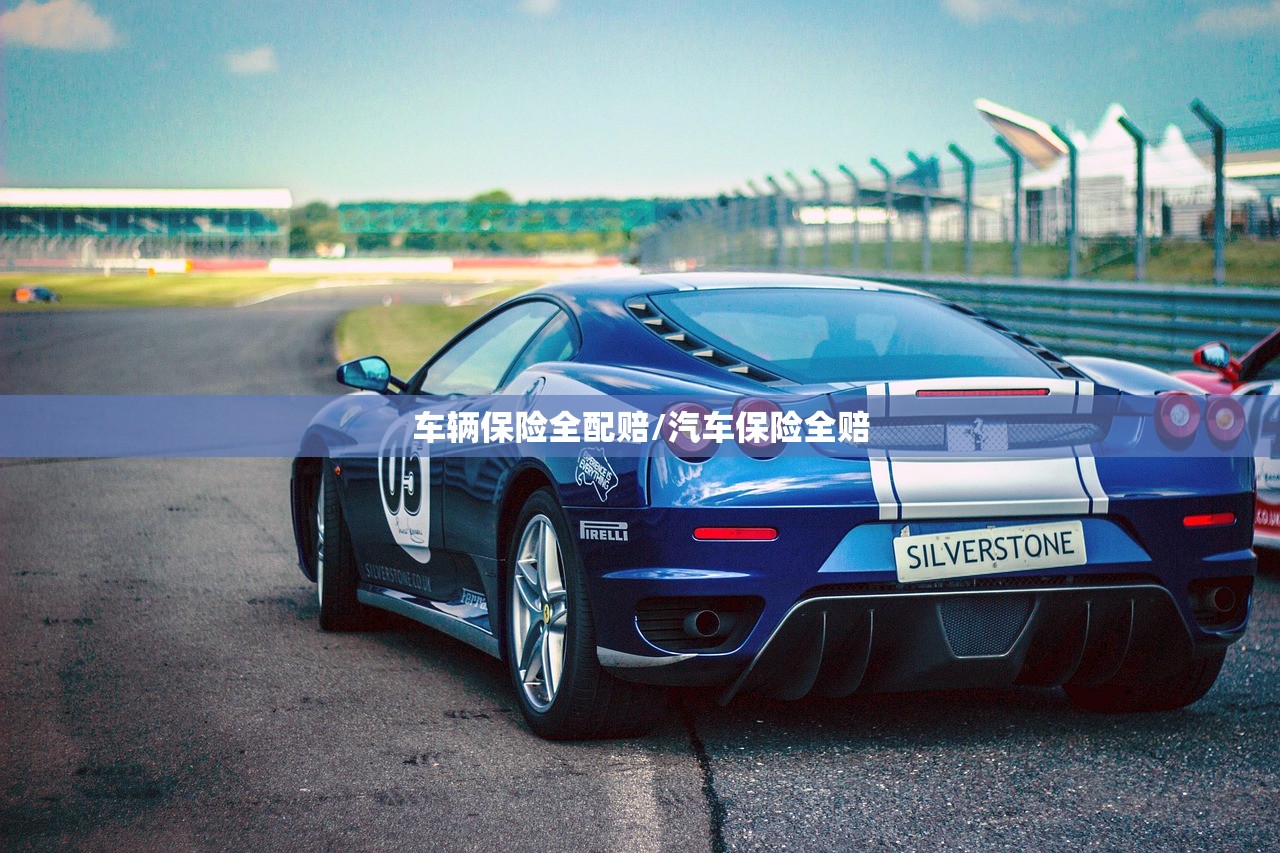 车辆保险全配赔/汽车保险全赔