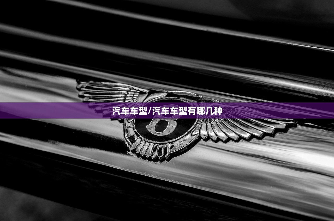 汽车车型/汽车车型有哪几种