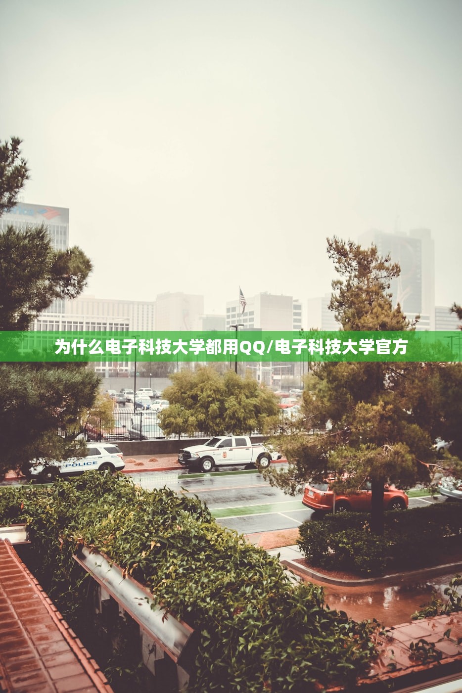 为什么电子科技大学都用QQ/电子科技大学官方