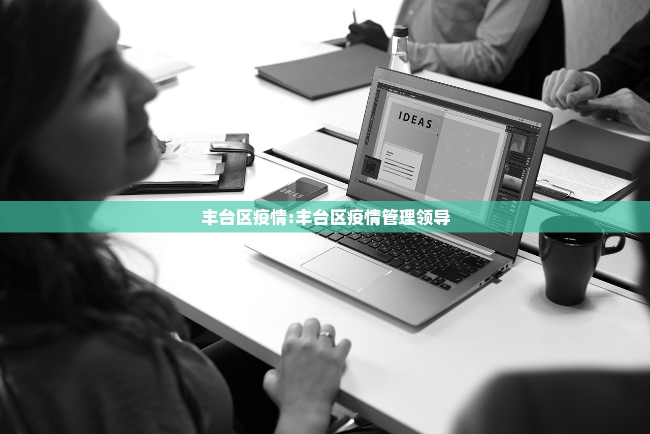 丰台区疫情:丰台区疫情管理领导