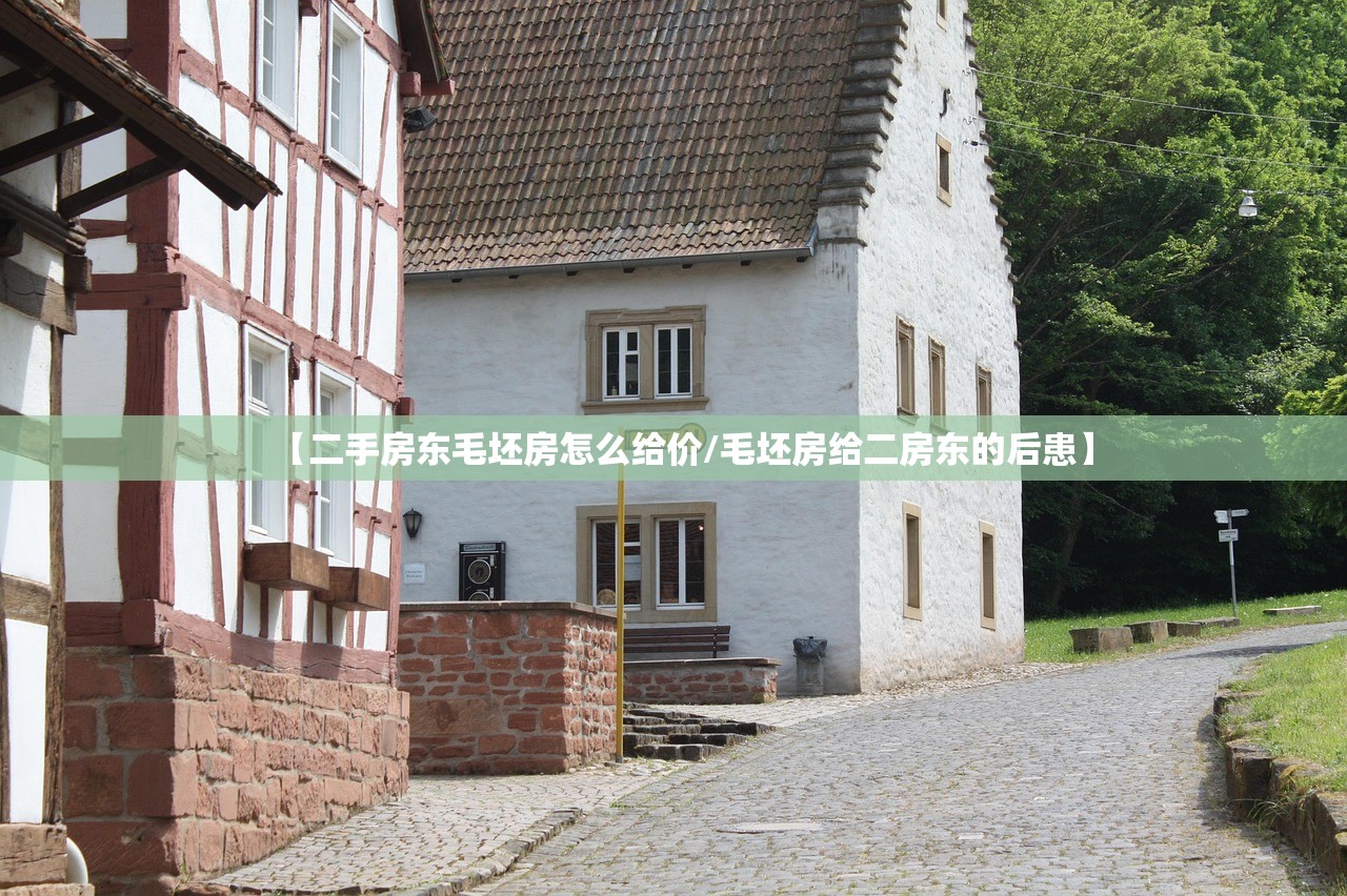 【二手房东毛坯房怎么给价/毛坯房给二房东的后患】