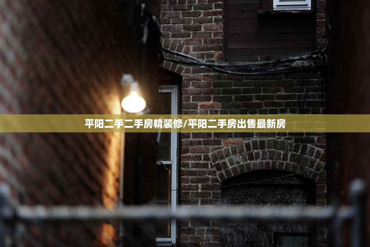 平阳二手二手房精装修/平阳二手房出售最新房