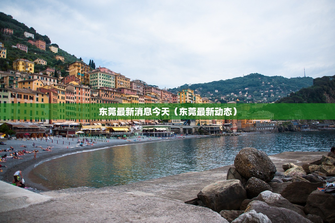 东莞最新消息今天（东莞最新动态）