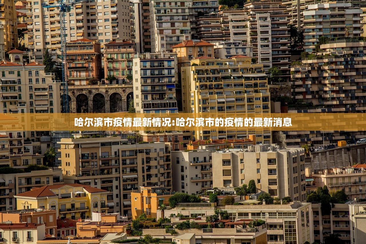 哈尔滨市疫情最新情况:哈尔滨市的疫情的最新消息