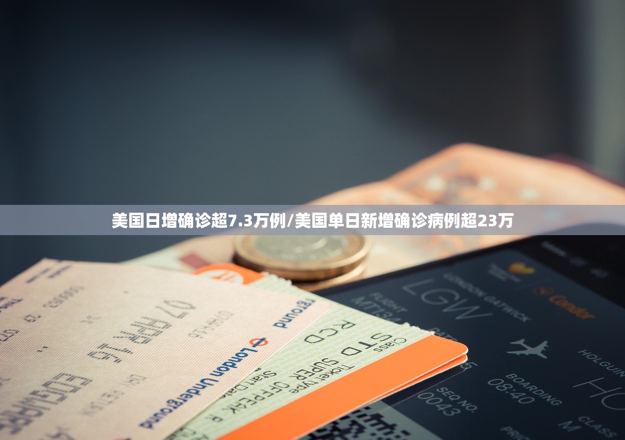 美国日增确诊超7.3万例/美国单日新增确诊病例超23万