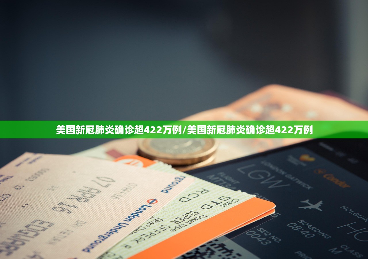美国新冠肺炎确诊超422万例/美国新冠肺炎确诊超422万例