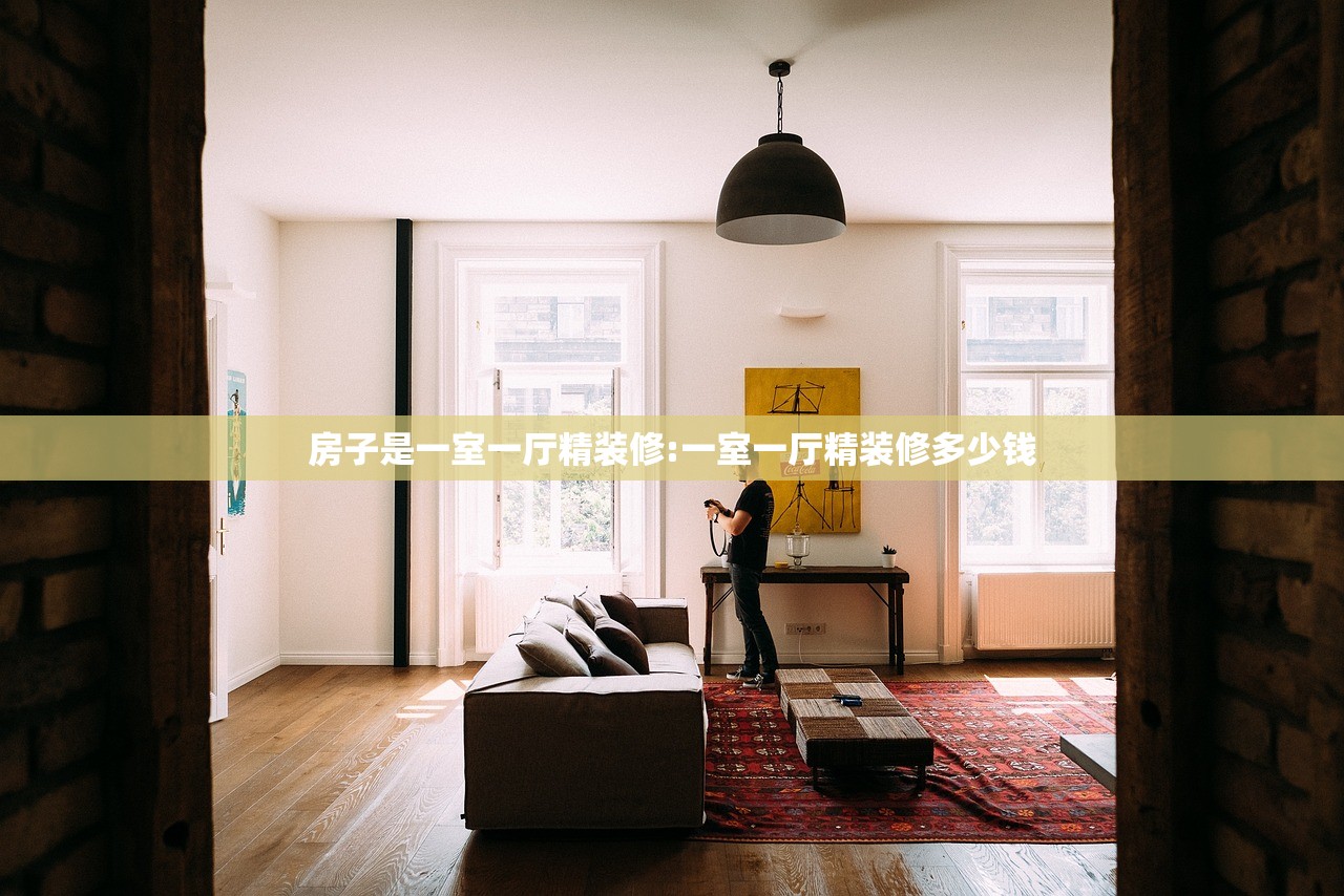 房子是一室一厅精装修:一室一厅精装修多少钱
