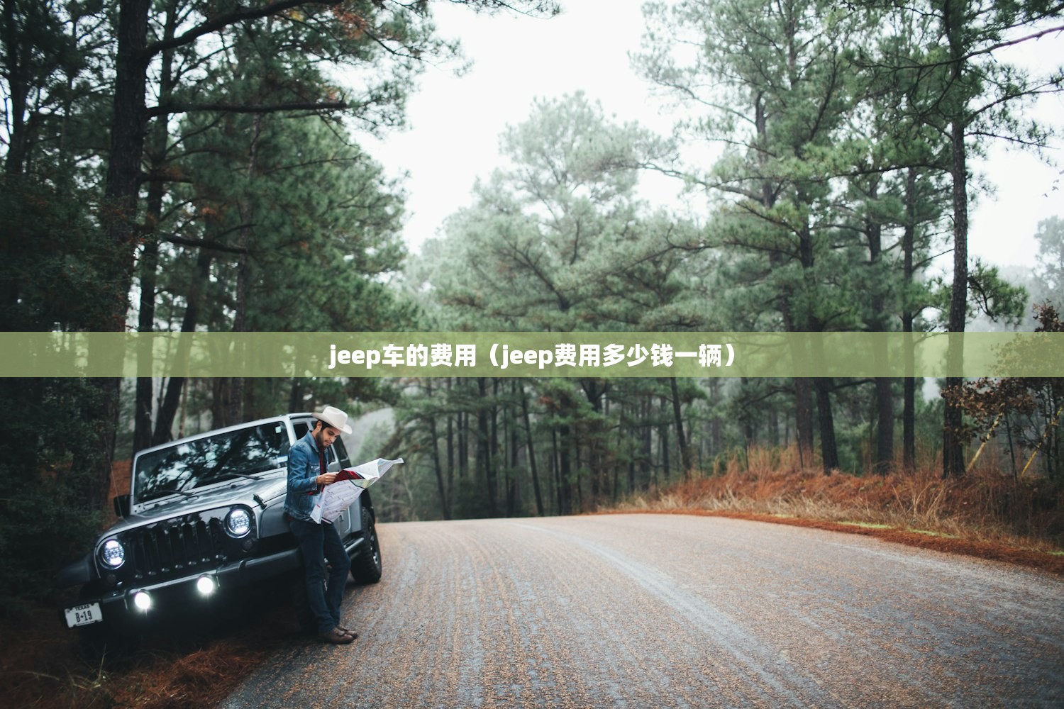 jeep车的费用（jeep费用多少钱一辆）