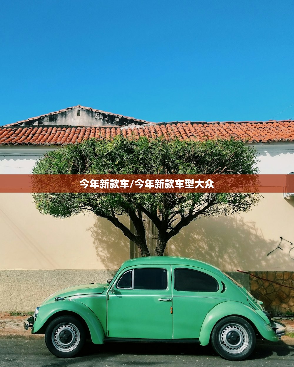 今年新款车/今年新款车型大众