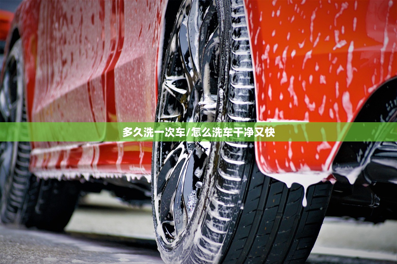 多久洗一次车/怎么洗车干净又快