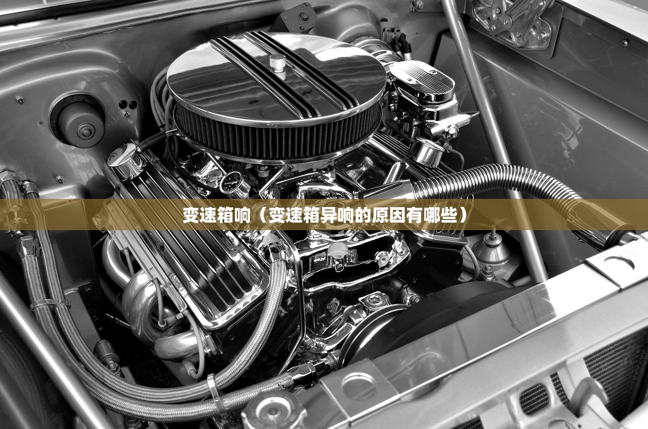 变速箱响（变速箱异响的原因有哪些）
