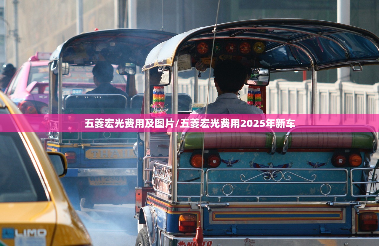 五菱宏光费用及图片/五菱宏光费用2025年新车
