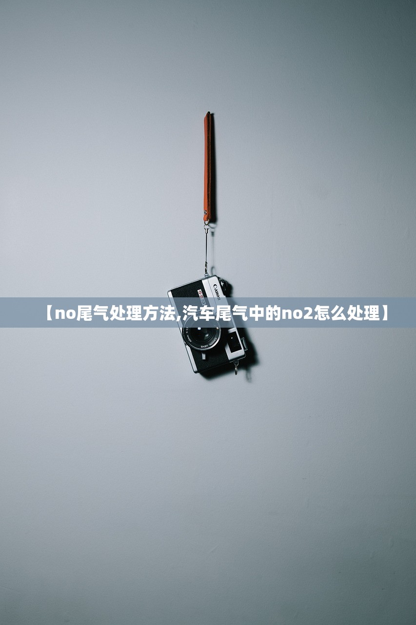 【no尾气处理方法,汽车尾气中的no2怎么处理】