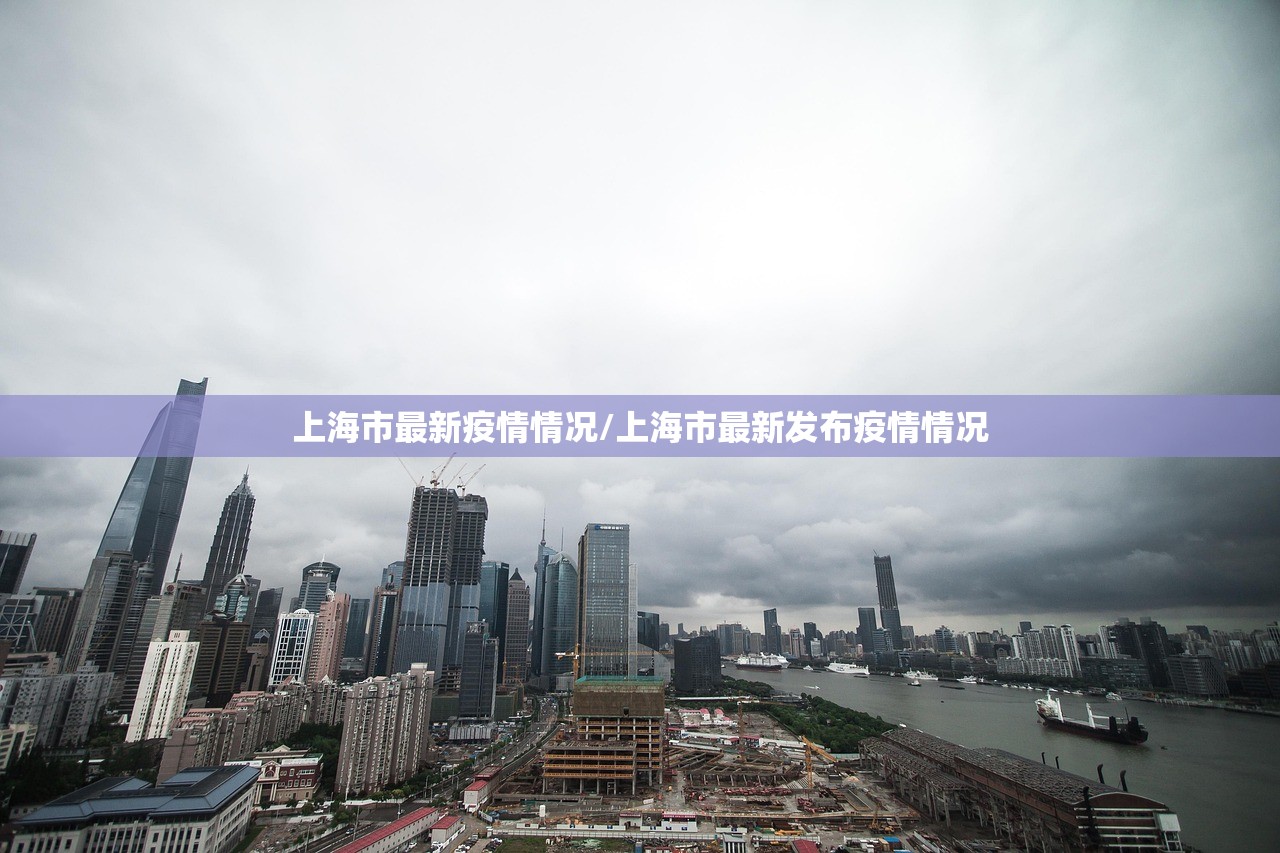 上海市最新疫情情况/上海市最新发布疫情情况