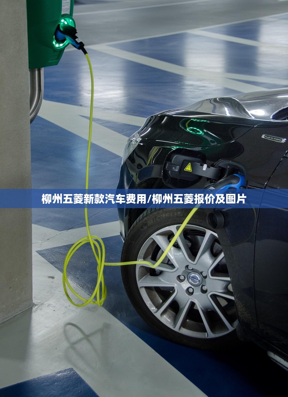 柳州五菱新款汽车费用/柳州五菱报价及图片