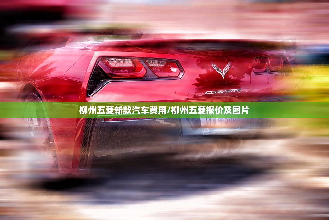 柳州五菱新款汽车费用/柳州五菱报价及图片