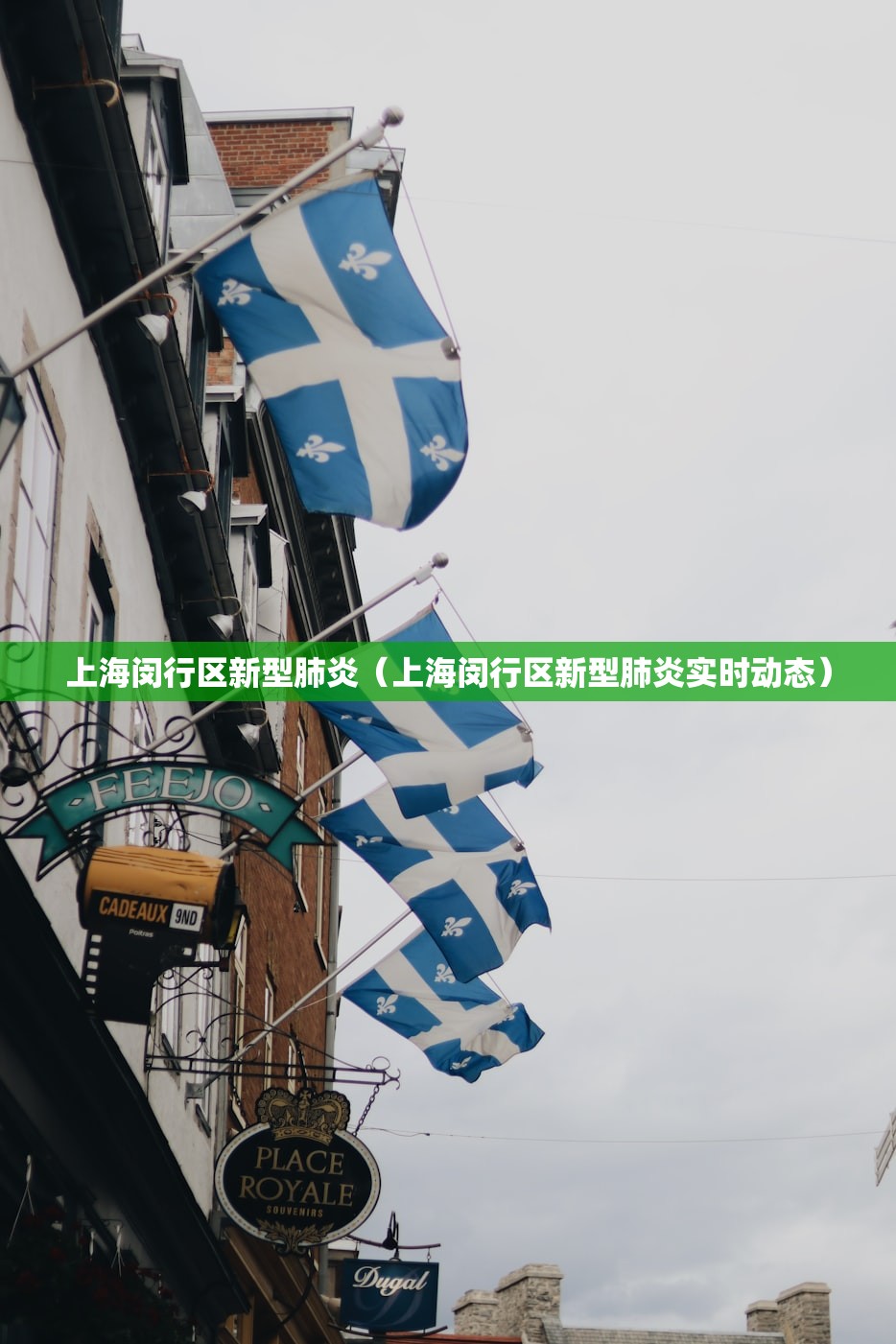 上海闵行区新型肺炎（上海闵行区新型肺炎实时动态）