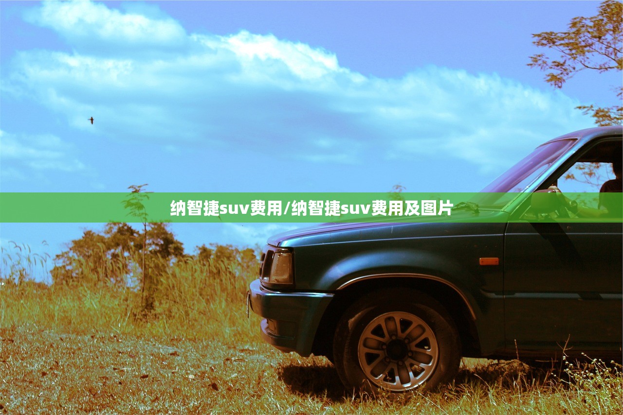 纳智捷suv费用/纳智捷suv费用及图片