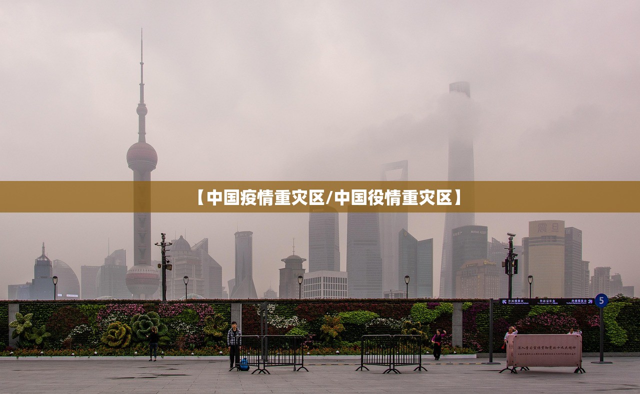 【中国疫情重灾区/中国役情重灾区】 【中国疫情重灾区/中国役情重灾区】