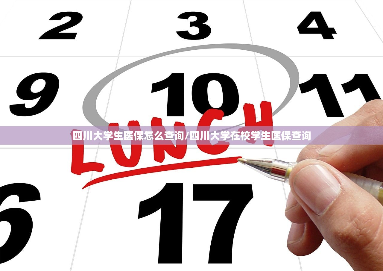 四川大学生医保怎么查询/四川大学在校学生医保查询