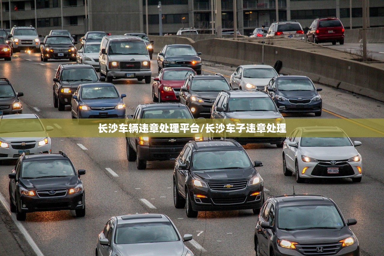 长沙车辆违章处理平台/长沙车子违章处理 长沙车辆违章处理平台/长沙车子违章处理