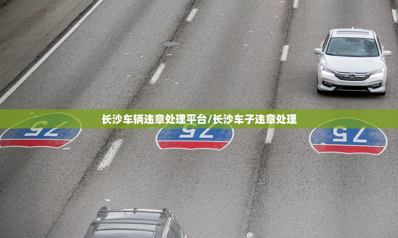 长沙车辆违章处理平台/长沙车子违章处理 长沙车辆违章处理平台/长沙车子违章处理