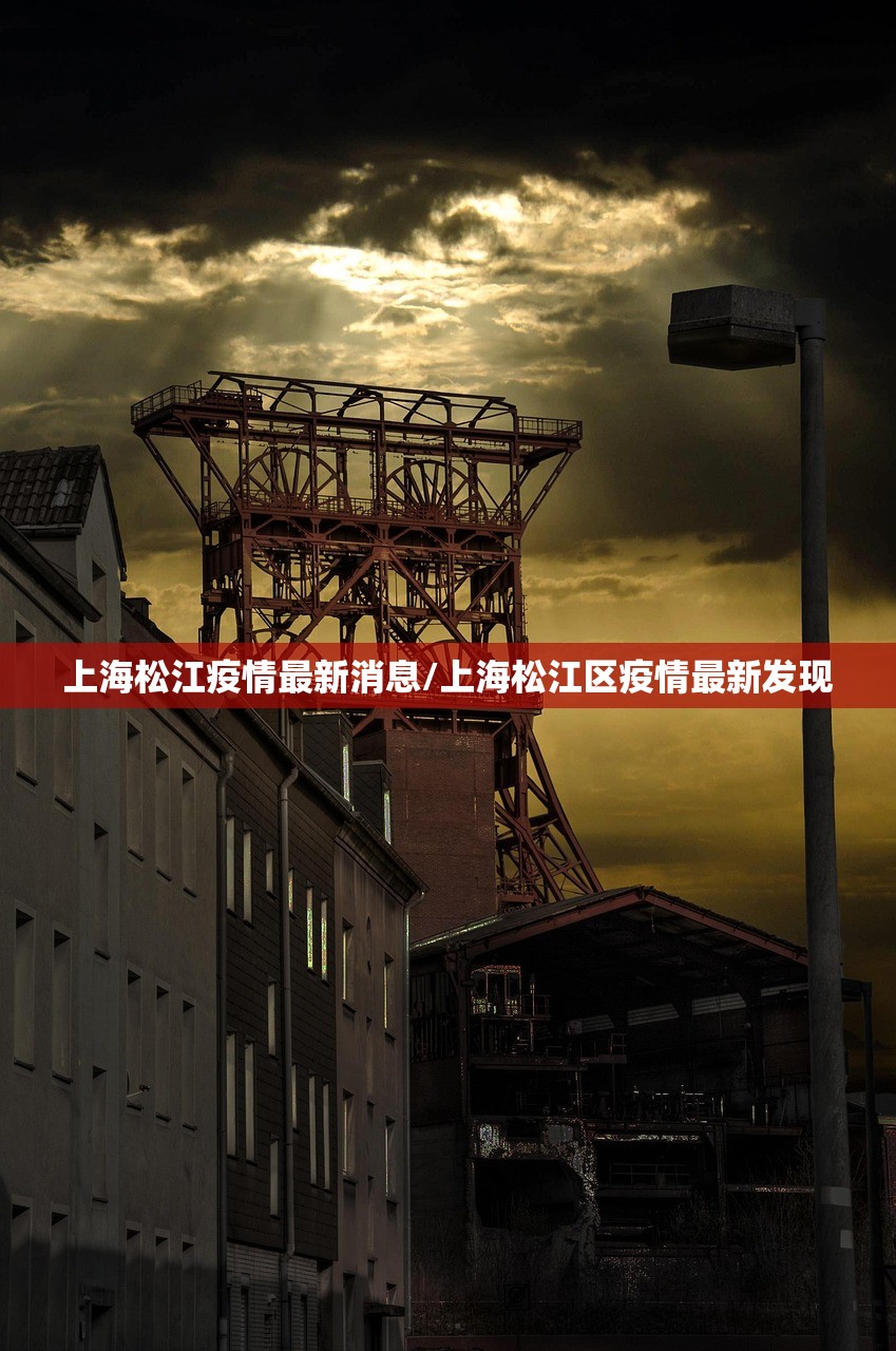 上海松江疫情最新消息/上海松江区疫情最新发现
