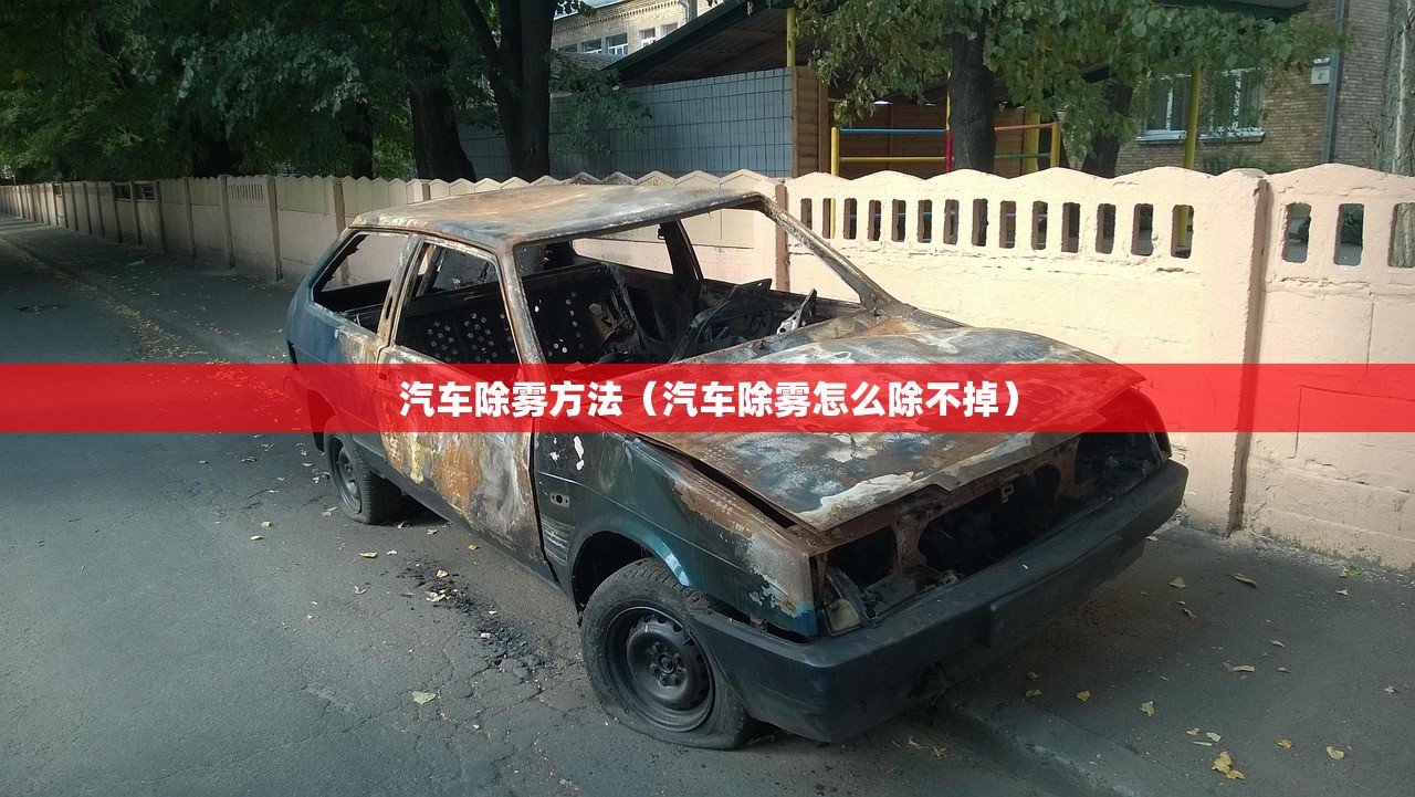 汽车除雾方法（汽车除雾怎么除不掉）