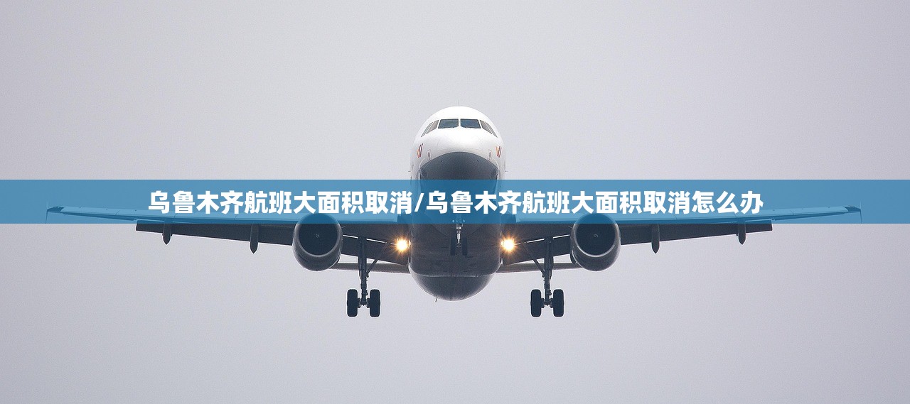 乌鲁木齐航班大面积取消/乌鲁木齐航班大面积取消怎么办 乌鲁木齐航班大面积取消/乌鲁木齐航班大面积取消怎么办