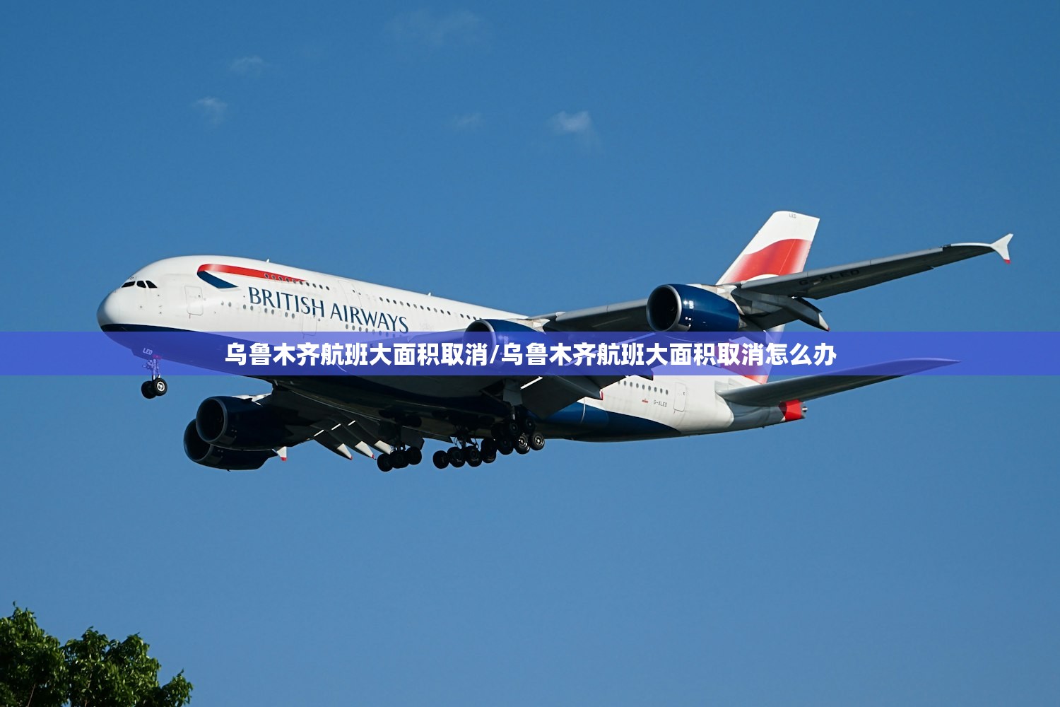 乌鲁木齐航班大面积取消/乌鲁木齐航班大面积取消怎么办 乌鲁木齐航班大面积取消/乌鲁木齐航班大面积取消怎么办
