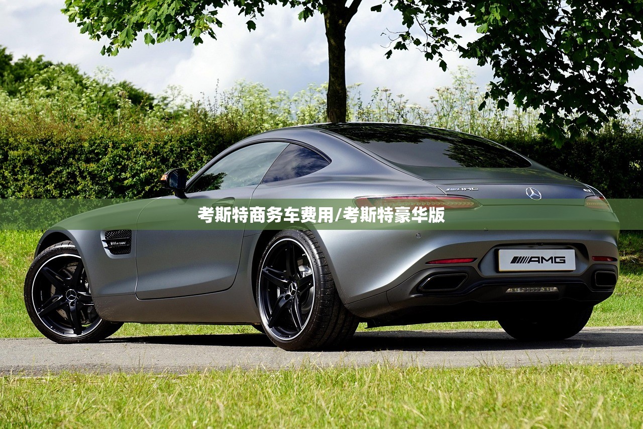 考斯特商务车费用/考斯特豪华版