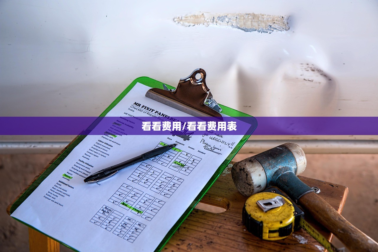看看费用/看看费用表