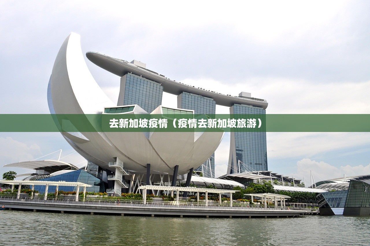 去新加坡疫情(疫情去新加坡旅游) 去新加坡疫情(疫情去新加坡旅游)