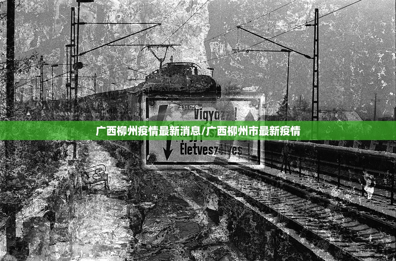 广西柳州疫情最新消息/广西柳州市最新疫情 广西柳州疫情最新消息/广西柳州市最新疫情