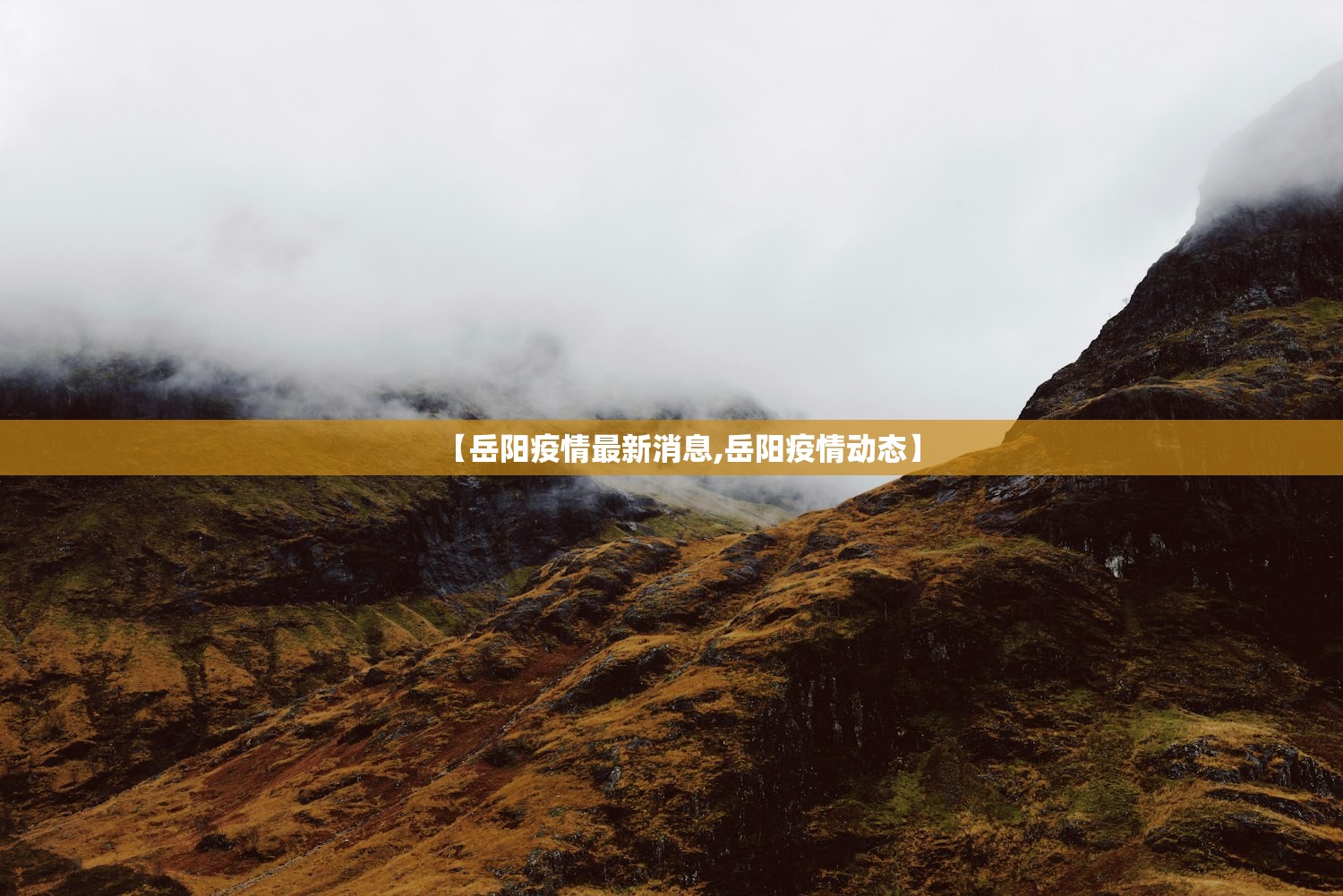 【岳阳疫情最新消息,岳阳疫情动态】
