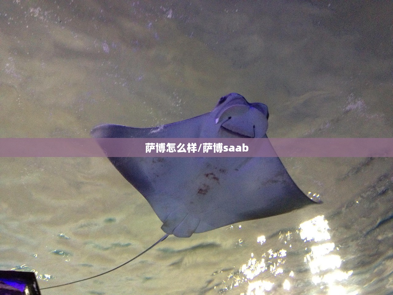 萨博怎么样/萨博saab