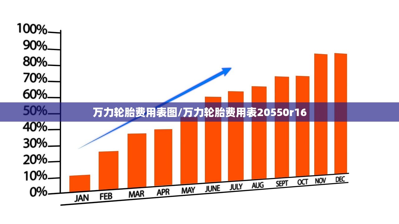 万力轮胎费用表图/万力轮胎费用表20550r16