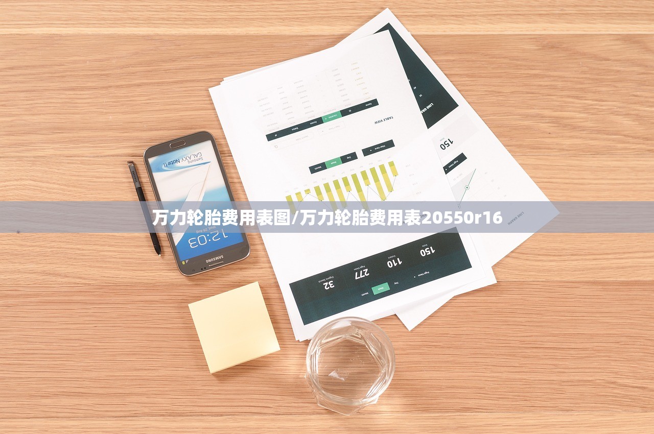 万力轮胎费用表图/万力轮胎费用表20550r16