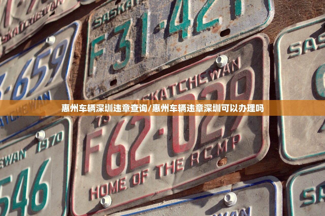 惠州车辆深圳违章查询/惠州车辆违章深圳可以办理吗