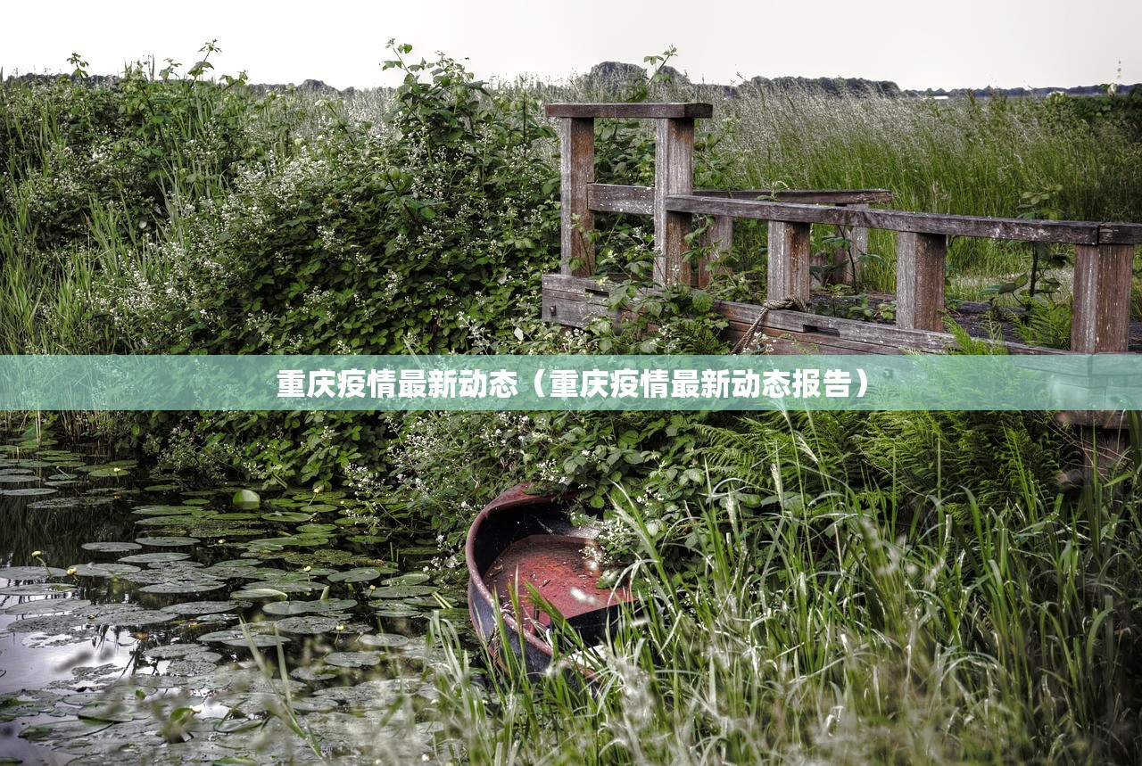 重庆疫情最新动态(重庆疫情最新动态报告) 重庆疫情最新动态(重庆疫情最新动态报告)