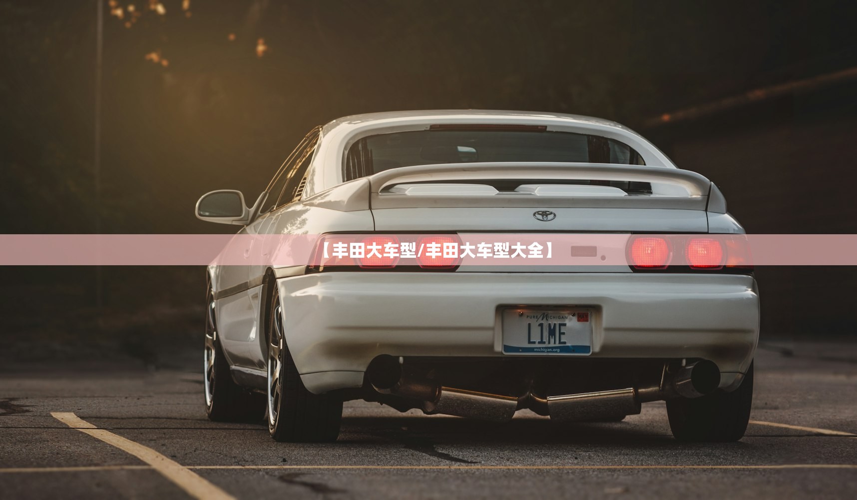 【丰田大车型/丰田大车型大全】