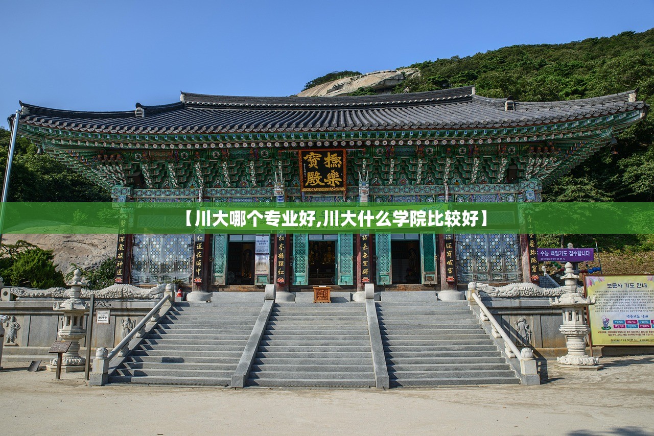 【川大哪个专业好,川大什么学院比较好】