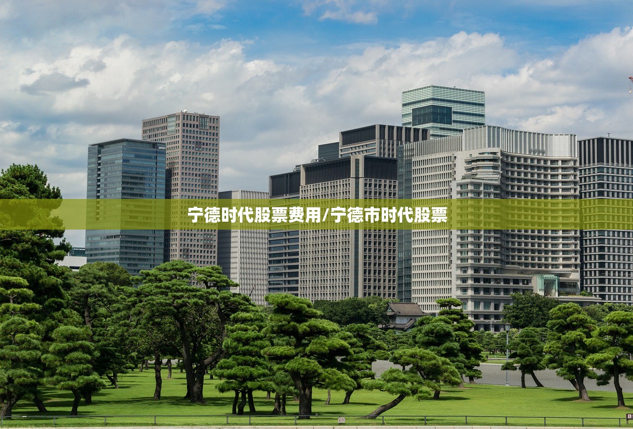 宁德时代股票费用/宁德市时代股票