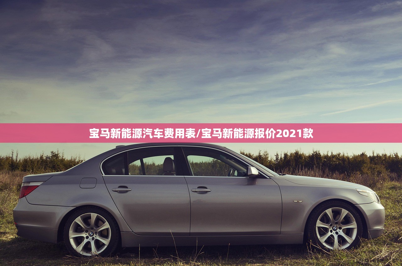 宝马新能源汽车费用表/宝马新能源报价2021款