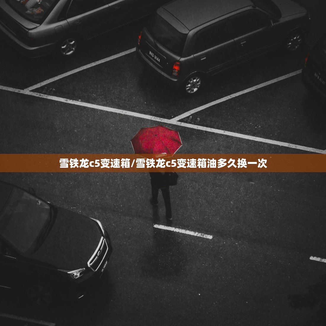 雪铁龙c5变速箱/雪铁龙c5变速箱油多久换一次