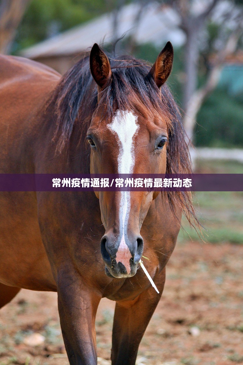 常州疫情通报/常州疫情最新动态